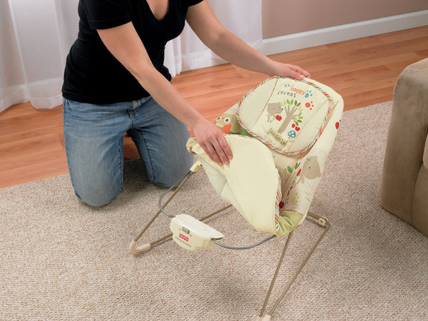 Fisher-Price Woodsy Friends Comfy Time Bouncer